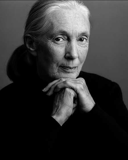Dr.-Jane-Goodall