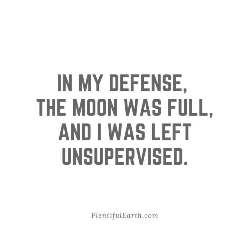 IN-MY-DEFENSE-THE-MOON-WAS-FULL-AND-I-WAS-LEFT-UNSUPERVISED-full-moon-quote-800x800